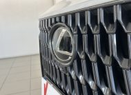 Lexus NX450H+ Executive 2.5 PHEV 306CV