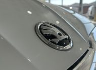 Škoda Fabia Style DSG 110CV 2024