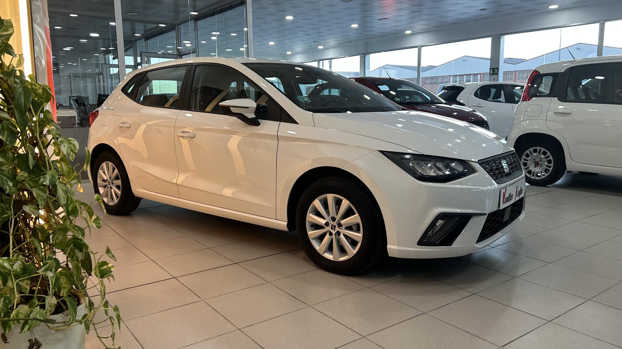 Seat Ibiza 2022