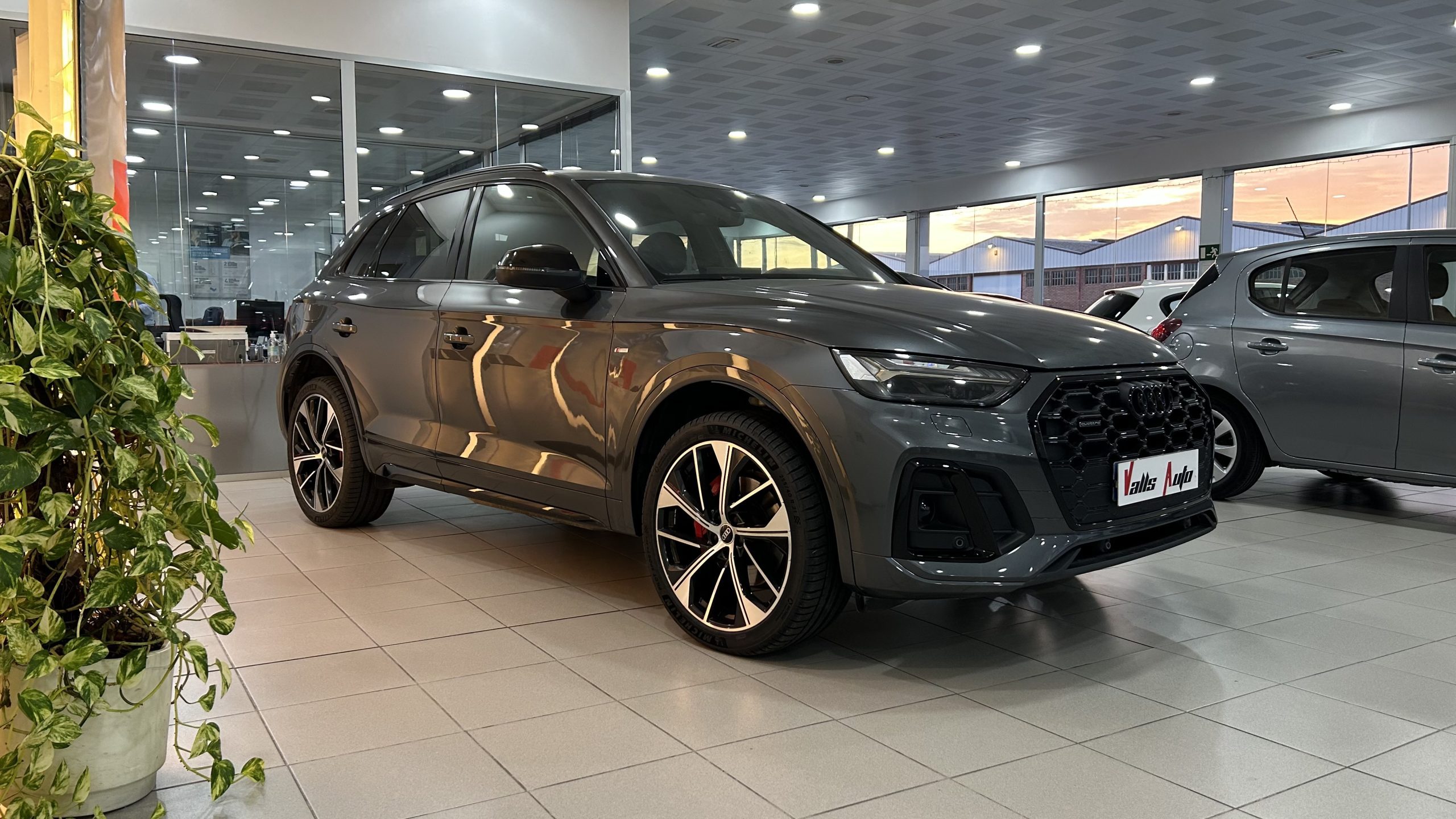 Audi Q5 40 TDI 204 CV S TRONIC QUATTRO 2023