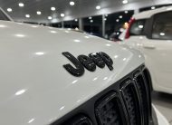 Jeep Renegade Night eagle 2022