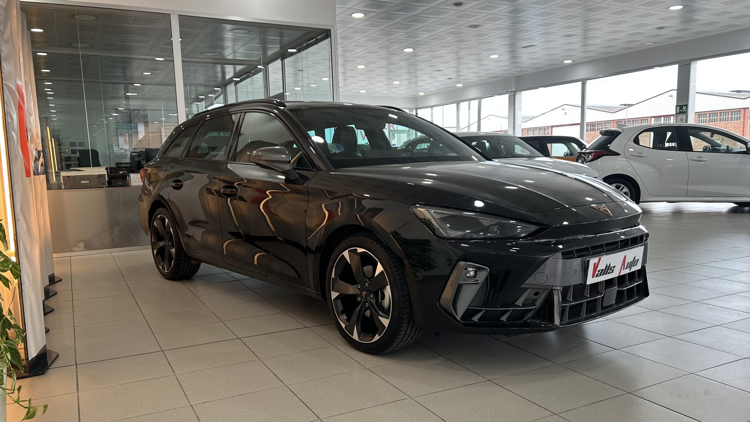 Cupra Leon 150cv 2024