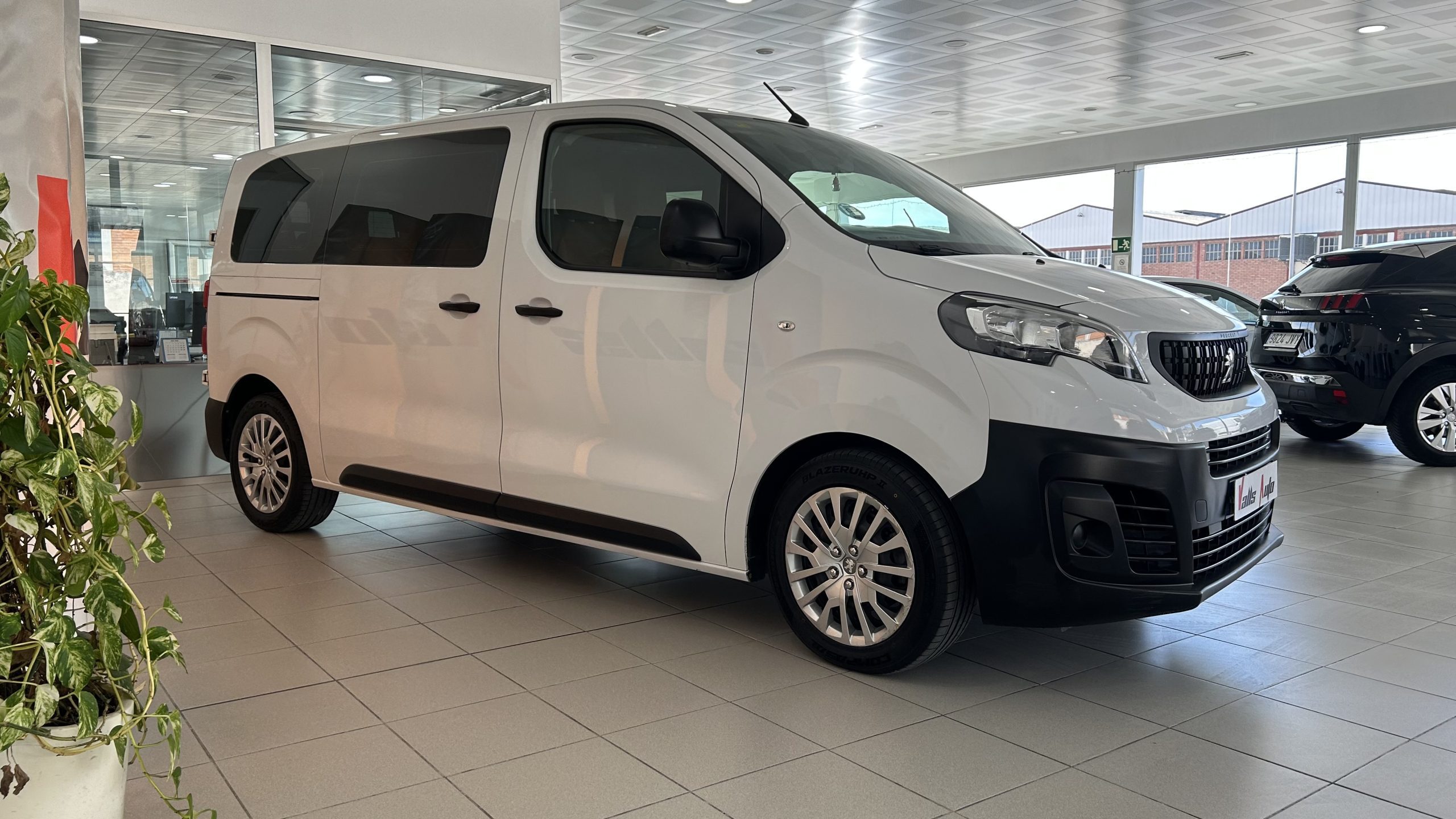 Peugeot Expert 9 plazas 2022