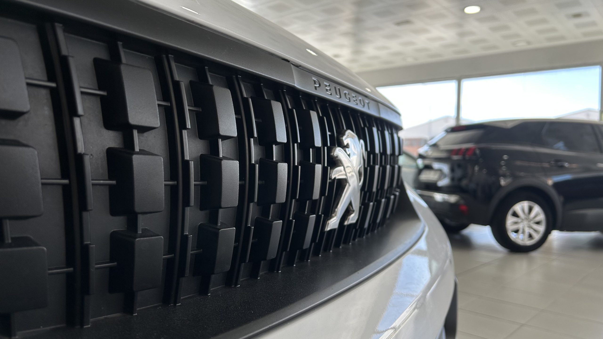 Peugeot Expert 9 plazas 2022