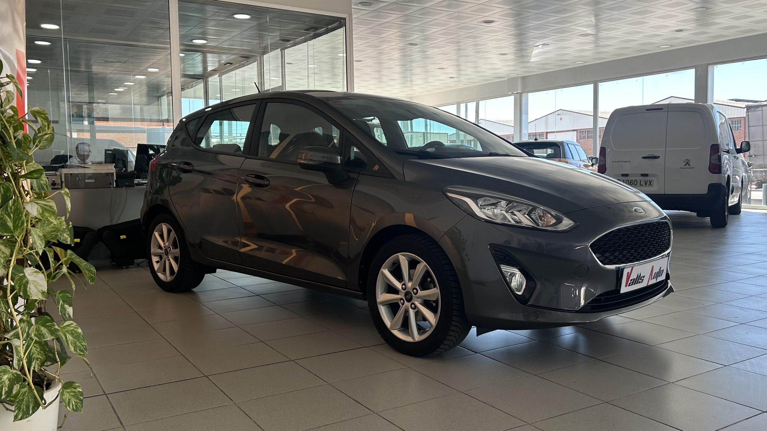 Ford Fiesta Trend 100cv 2019