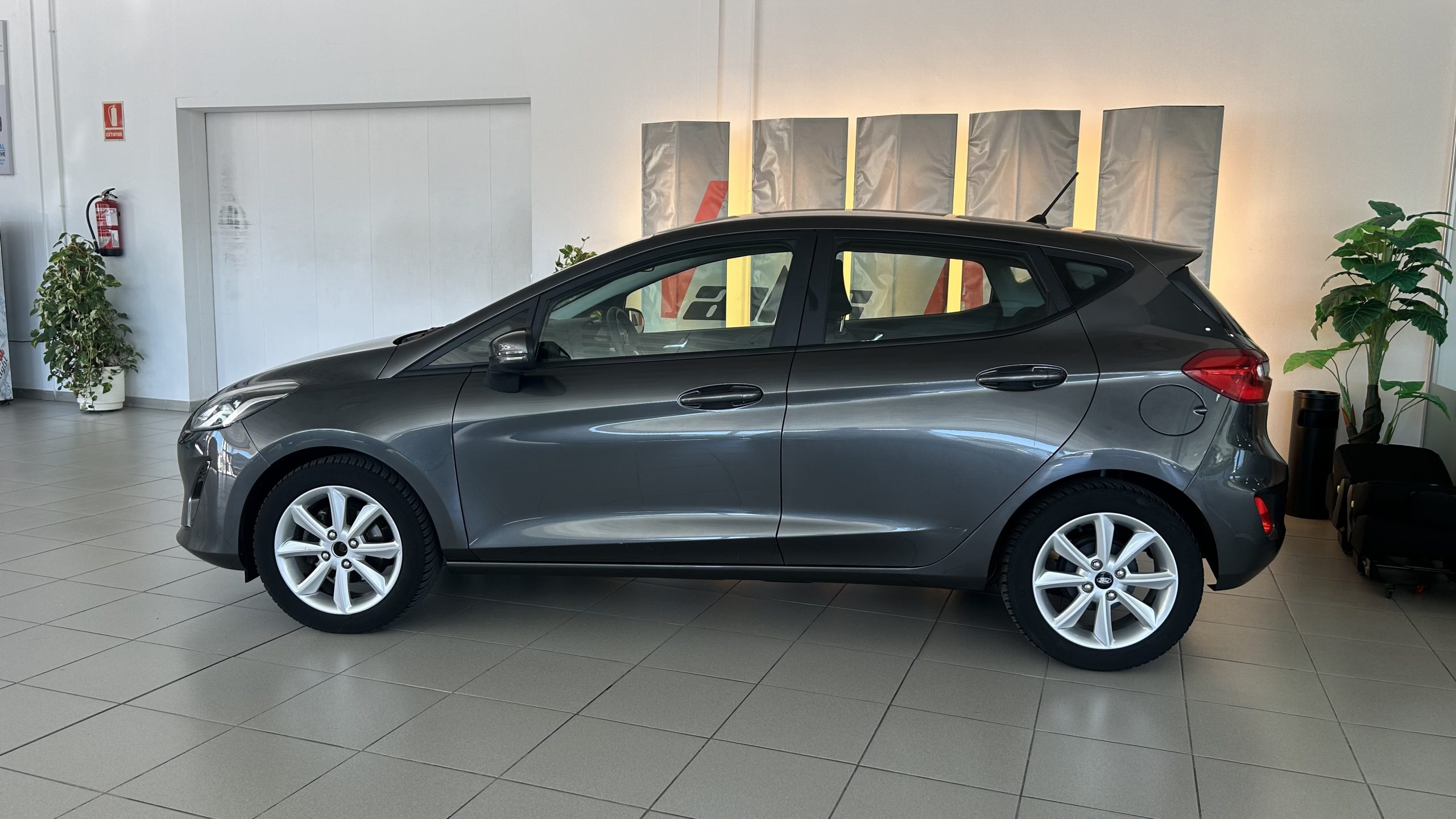 Ford Fiesta Trend 100cv 2019